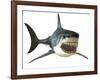 Great White Shark-null-Framed Art Print