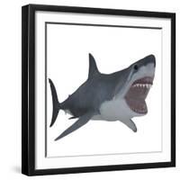 Great White Shark-Stocktrek Images-Framed Art Print