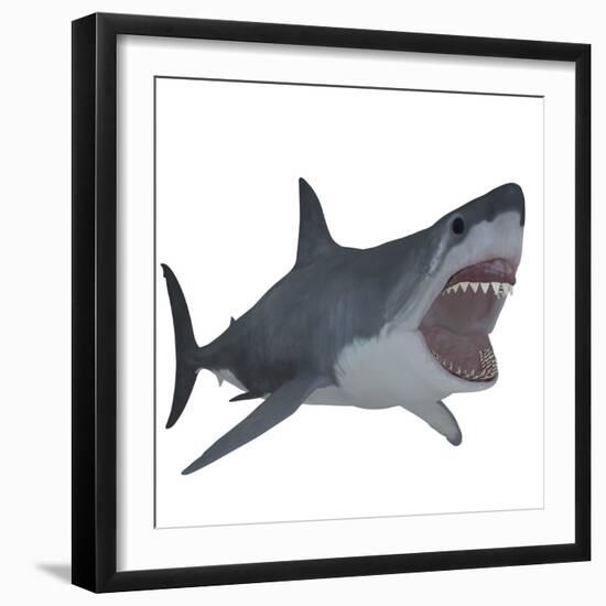 Great White Shark-Stocktrek Images-Framed Art Print