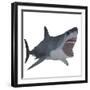 Great White Shark-Stocktrek Images-Framed Art Print