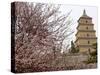 Great Wild Goose Pagoda Built During the Tang Dynasty in the 7th Century, Xian, Shaanxi, China-De Mann Jean-Pierre-Stretched Canvas