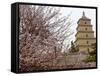 Great Wild Goose Pagoda Built During the Tang Dynasty in the 7th Century, Xian, Shaanxi, China-De Mann Jean-Pierre-Framed Stretched Canvas