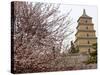 Great Wild Goose Pagoda Built During the Tang Dynasty in the 7th Century, Xian, Shaanxi, China-De Mann Jean-Pierre-Stretched Canvas