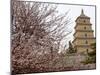 Great Wild Goose Pagoda Built During the Tang Dynasty in the 7th Century, Xian, Shaanxi, China-De Mann Jean-Pierre-Mounted Photographic Print