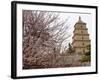 Great Wild Goose Pagoda Built During the Tang Dynasty in the 7th Century, Xian, Shaanxi, China-De Mann Jean-Pierre-Framed Photographic Print