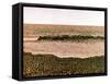 Great Yarmouth Beach, 1969-Anthony Amies-Framed Stretched Canvas