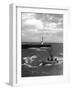 Great Yarmouth Shrimper-null-Framed Photographic Print
