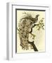 Greater Bird II-Catherine Kohnke-Framed Art Print