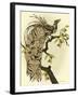 Greater Bird II-Catherine Kohnke-Framed Art Print