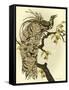 Greater Bird II-Catherine Kohnke-Framed Stretched Canvas