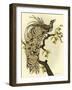 Greater Bird II-Catherine Kohnke-Framed Art Print