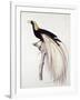 Greater Bird of Paradise, Male-Jacques Barraband-Framed Giclee Print