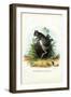 Greater Egyptian Jerboa, 1863-79-Raimundo Petraroja-Framed Giclee Print