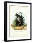 Greater Egyptian Jerboa, 1863-79-Raimundo Petraroja-Framed Giclee Print