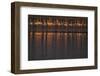 Greater flamingo flock, Sado Estuary, Portugal-Pedro Narra-Framed Photographic Print