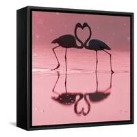 Greater Flamingo Pair Kissing-null-Framed Stretched Canvas