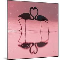 Greater Flamingo Pair Kissing-null-Mounted Photographic Print