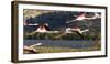 Greater flamingo (Phoenicopterus roseus), St. Augustine, southern area, Madagascar, Africa-Christian Kober-Framed Photographic Print