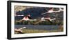 Greater flamingo (Phoenicopterus roseus), St. Augustine, southern area, Madagascar, Africa-Christian Kober-Framed Photographic Print