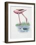 Greater Flamingo (Phoenicopterus Ruber) and a Red-Necked Phalarope (Phalaropus Lobatus) in a Pond-null-Framed Giclee Print