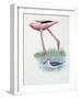 Greater Flamingo (Phoenicopterus Ruber) and a Red-Necked Phalarope (Phalaropus Lobatus) in a Pond-null-Framed Giclee Print