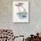 Greater Flamingo (Phoenicopterus Ruber) and a Red-Necked Phalarope (Phalaropus Lobatus) in a Pond-null-Giclee Print displayed on a wall