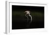 Greater Flamingo-Natalia Rublina-Framed Giclee Print