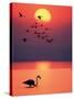 Greater Flamingos at Sunset-null-Stretched Canvas