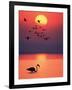 Greater Flamingos at Sunset-null-Framed Photographic Print