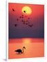 Greater Flamingos at Sunset-null-Framed Photographic Print