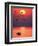 Greater Flamingos at Sunset-null-Framed Photographic Print