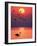 Greater Flamingos at Sunset-null-Framed Photographic Print