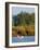 Greater Flamingos in Marsh, Camargue, France-Lisa S. Engelbrecht-Framed Photographic Print