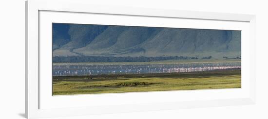 Greater flamingos, Ngorongoro crater, Ngorongoro Conservation Area, Serengeti, Tanzania.-Sergio Pitamitz-Framed Photographic Print