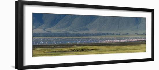 Greater flamingos, Ngorongoro crater, Ngorongoro Conservation Area, Serengeti, Tanzania.-Sergio Pitamitz-Framed Premium Photographic Print