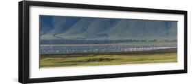 Greater flamingos, Ngorongoro crater, Ngorongoro Conservation Area, Serengeti, Tanzania.-Sergio Pitamitz-Framed Premium Photographic Print