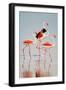 Greater Flamingos (Phoenicopterus Roseus) in a Lake, Ndutu, Ngorongoro Conservation Area, Tanzania-null-Framed Photographic Print