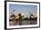 Greater Flamingos (Phoenicopterus Roseus) in Lagoon, Camargue, France, April 2009-Allofs-Framed Photographic Print