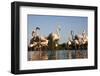 Greater Flamingos (Phoenicopterus Roseus) in Lagoon, Camargue, France, April 2009-Allofs-Framed Photographic Print