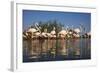 Greater Flamingos (Phoenicopterus Roseus) in Lagoon, Camargue, France, April 2009-Allofs-Framed Photographic Print