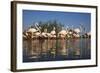 Greater Flamingos (Phoenicopterus Roseus) in Lagoon, Camargue, France, April 2009-Allofs-Framed Photographic Print