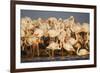 Greater Flamingos (Phoenicopterus Roseus) Part of Breeding Colony, Camargue, France-Allofs-Framed Photographic Print