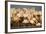 Greater Flamingos (Phoenicopterus Roseus) Part of Breeding Colony, Camargue, France-Allofs-Framed Photographic Print