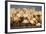 Greater Flamingos (Phoenicopterus Roseus) Part of Breeding Colony, Camargue, France-Allofs-Framed Photographic Print