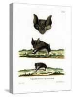 Greater Horseshoe Bat-null-Stretched Canvas