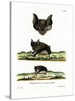 Greater Horseshoe Bat-null-Stretched Canvas