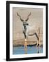 Greater Kudu (Tragelaphus Strepsiceros) at Waterhole, Etosha National Park, Namibia-null-Framed Photographic Print