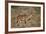 Greater Kudu (Tragelaphus Strepsiceros) Buck, Karoo National Park, South Africa, Africa-James Hager-Framed Photographic Print