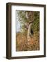 Greater Kudu-Michele Westmorland-Framed Photographic Print