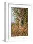 Greater Kudu-Michele Westmorland-Framed Photographic Print
